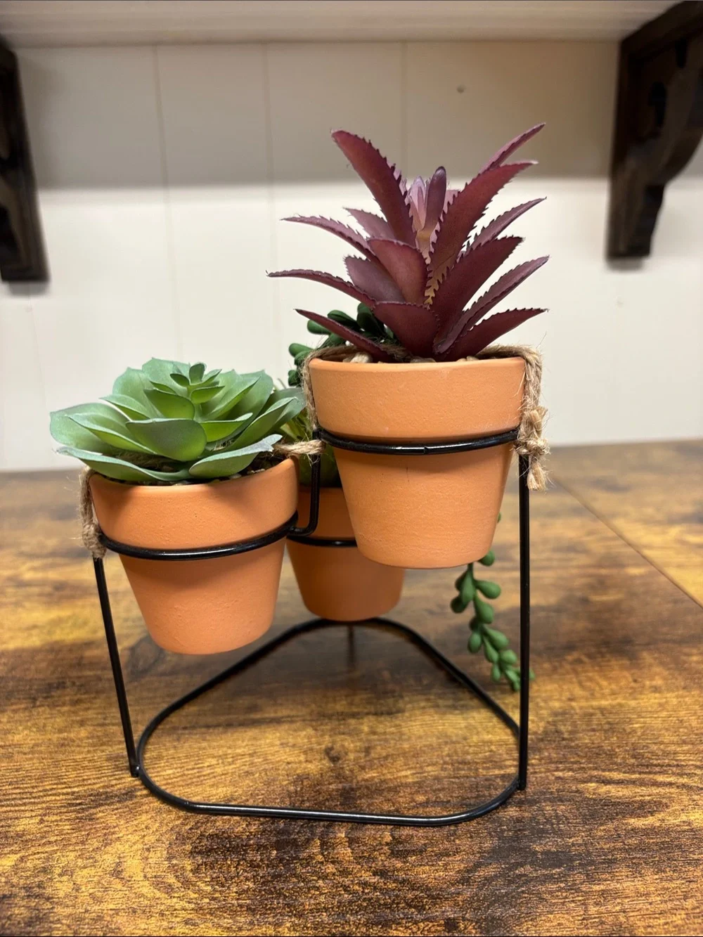 Set of 3 Mini Terracotta Succulent Pots with Metal Stand
